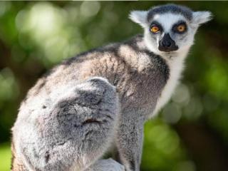 Holiday home in Ebeltoft with roof terrace - 4
