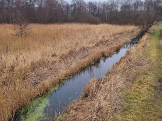 Holiday home in Ebeltoft with roof terrace - 3