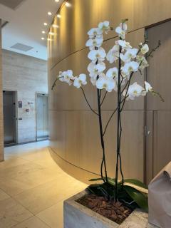 Fabuloso Hotel Alvorada - Apt da Rede Premium - 7