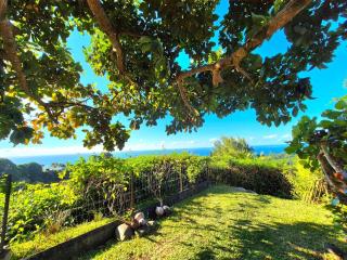Thetahitianspaces - 4