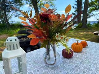 Pet friendly- Crystal Water fishing Family Retreat - Havelock - 4