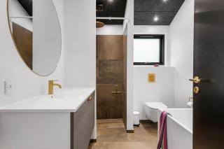 TV1666-Albaek-Musvagevej-30 - 7