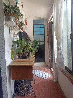Hummingbird House - Città del Messico - 8