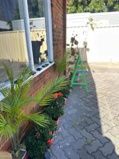 House in Nedlands, Venice - 8