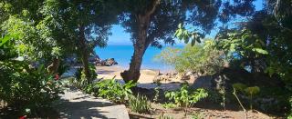 Cocoa Beach Lodge - 0