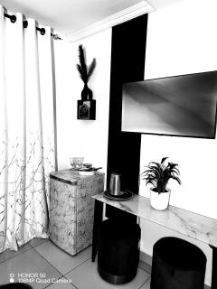 Palma spaces - 9