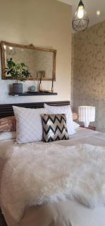 Urban Cottage - Masterton - 5