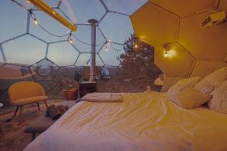 Grizzly Igloo III The Patriot One - 3