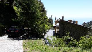 Arvasia - Vernazza - 0