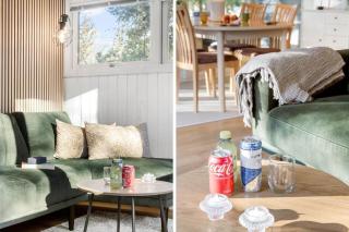 TV1629-Albaek-Musvagevej-7 - 6