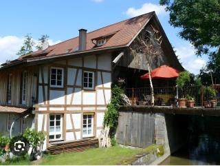 Alte Wassermühle - 8