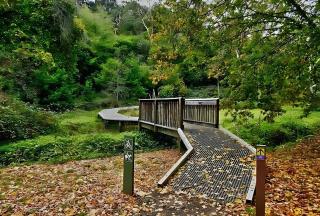 Koora Nest - Secluded Bushland Escape in the Hills - 6