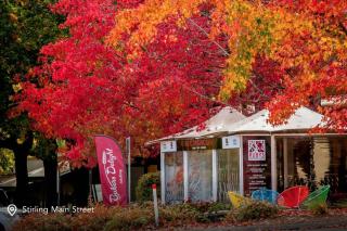 Koora Nest - Secluded Bushland Escape in the Hills - 5