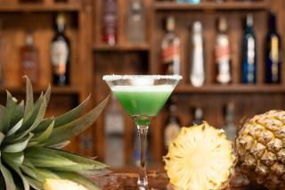 Saludiya Retreat Resort and SPA - Dambulla - 8