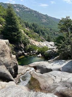 Tipi Nature a l'Ombre des Tilleuls à Vialas en Cévennes - 5