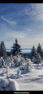 Mobile home 6personnes ,Alsace , munster France - 8