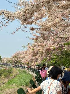 Great Nature Villa - Jiji - 8