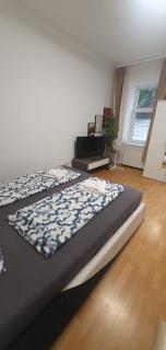 Chic 1BR Apt Very Central in Vienna - 9