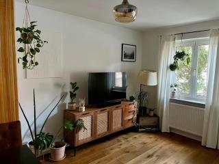 Perfekte Wohnung für deinen Oktoberfestbesuch - München - 0