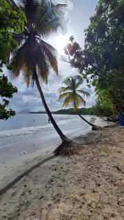 Elsoli Beach - 8