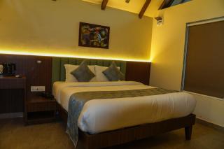 Birds Nest Resort - 6