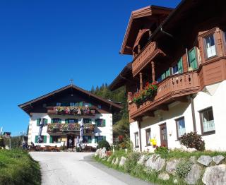Ländliche Lage Pension Maier - Gasthof - 8