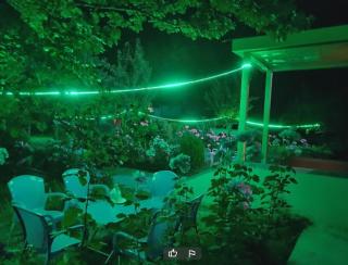 Sujo Land Hotel - 8