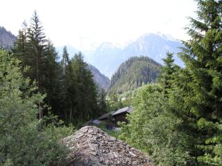 Glacier Views & Ski Trails - 1