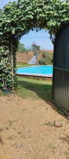 Cozy studio in Valencia de Alcántara 25 m² lovely garden - 8