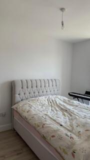 Mad House! - Shankill - 4