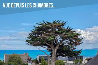 La Flibuste, Vue Mer, Plage à Pied & Parking - 6