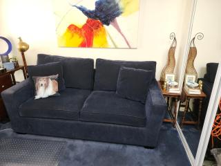 Entire 2BR, centrally-located, w/parking! - 5