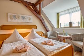 Landhotel Zum Hammer - Tannenberg - 8