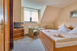 Landhotel Zum Hammer - Tannenberg - 6