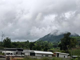 My Paradise Chiang Rai - 9