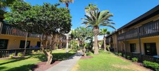 Tiki Condo 261 - 1