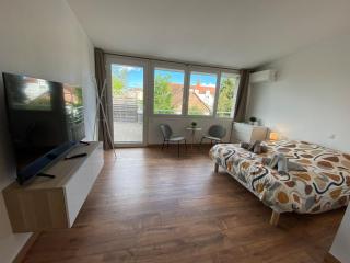 Studio cosy climatisé, à deux minutes de Colmar - 5