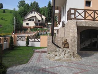 Pensiunea Gold - Durău - 5