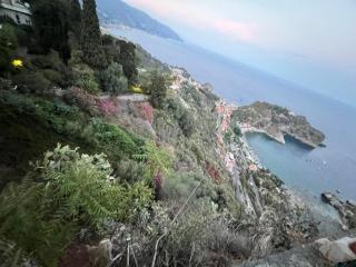 Pino Marino - 3