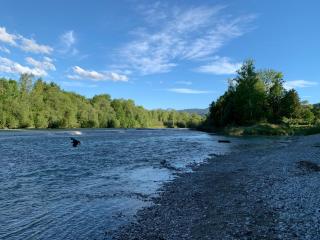 Bavarian Apartment up to 5 Guest, Mounts and River - 9