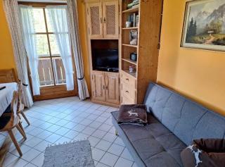 Bavarian Apartment up to 5 Guest, Mounts and River - 7