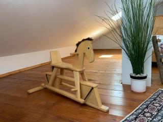 Bavarian Apartment up to 5 Guest, Mounts and River - 6