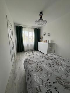 Kali Apartment near Center - 9