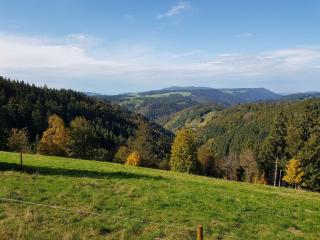 Ferienwohnungen Schönwald - Schönwald - 4