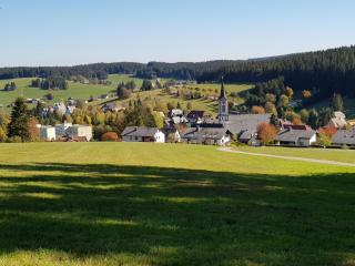 Ferienwohnungen Schönwald - Schönwald - 1