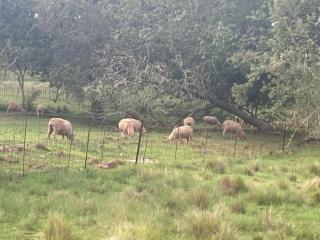 Mountain View Farm Cottage 4X4 Vehicles ONLY - 1