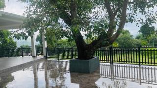 Hanthana Luxury Homestay - 3