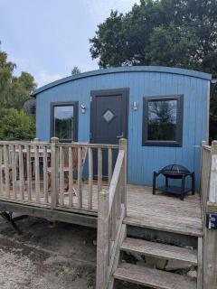 Tranquil Cabin Retreat in Welshpool - Welshpool - 2