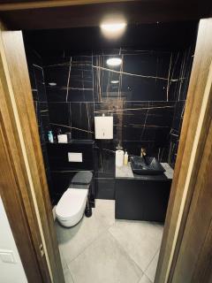 69 apartaments II - Panevėžys - 4