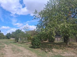 Maison Mobile MobilHome 22 route de Châtellerault 36290 Mézières en Brenne - 5